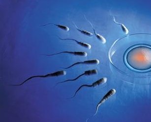 不孕不育抽血花了800多（男性检查不孕不育抽血是检查什么）