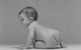 体外培养5天的4bb囊胚需要做染色体易位携带检查吗？