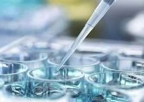 试管婴儿的详细过程