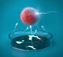 西宁做试管婴儿哪个医院成功率排名较高？