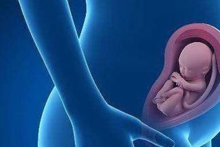 美国的试管婴儿流程到底需要多长时间？做试管婴儿前医生能看出胚胎的性别吗？